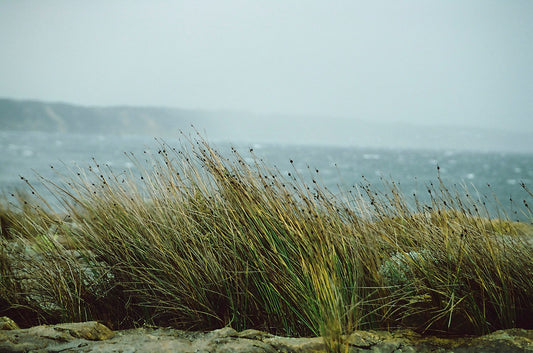 Straight out of Antarctica