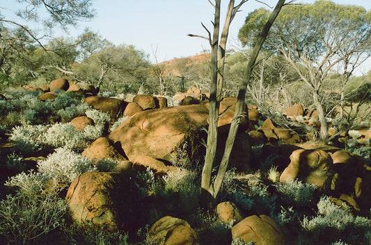 Murchison field testing